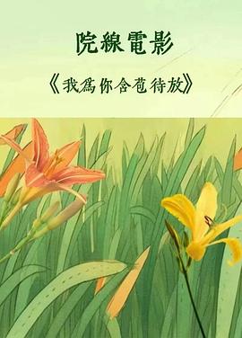 我为你含苞待放封面图