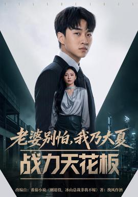 老婆别怕，我乃大夏战力天花板封面图