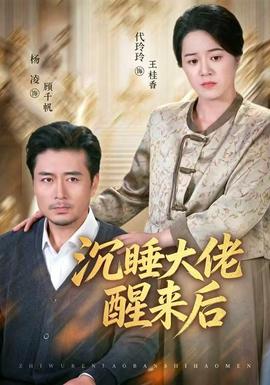 沉睡大佬醒来后封面图