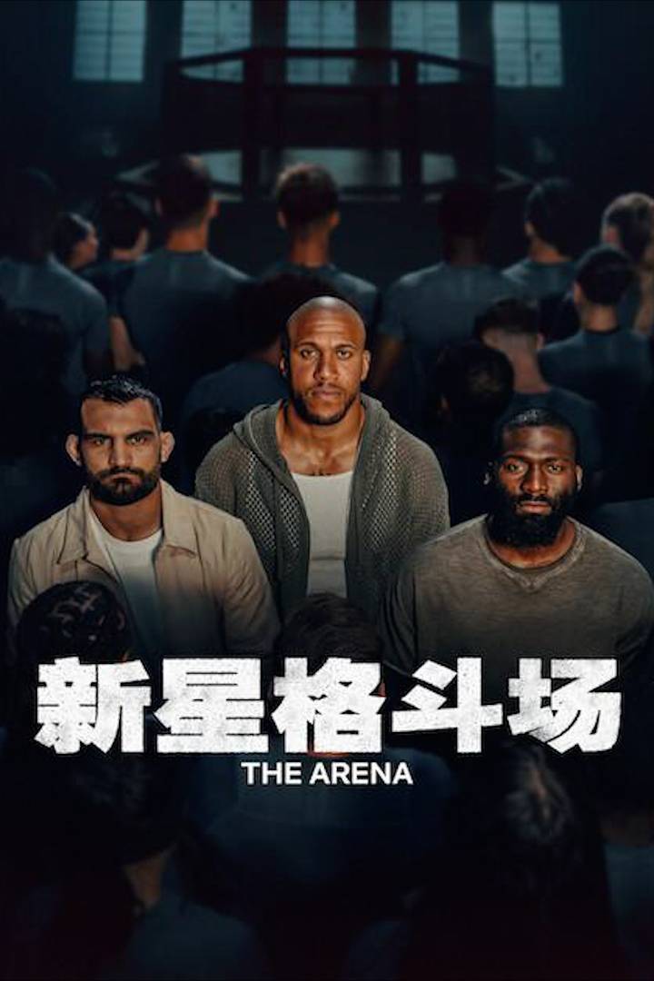 新星格斗场封面图
