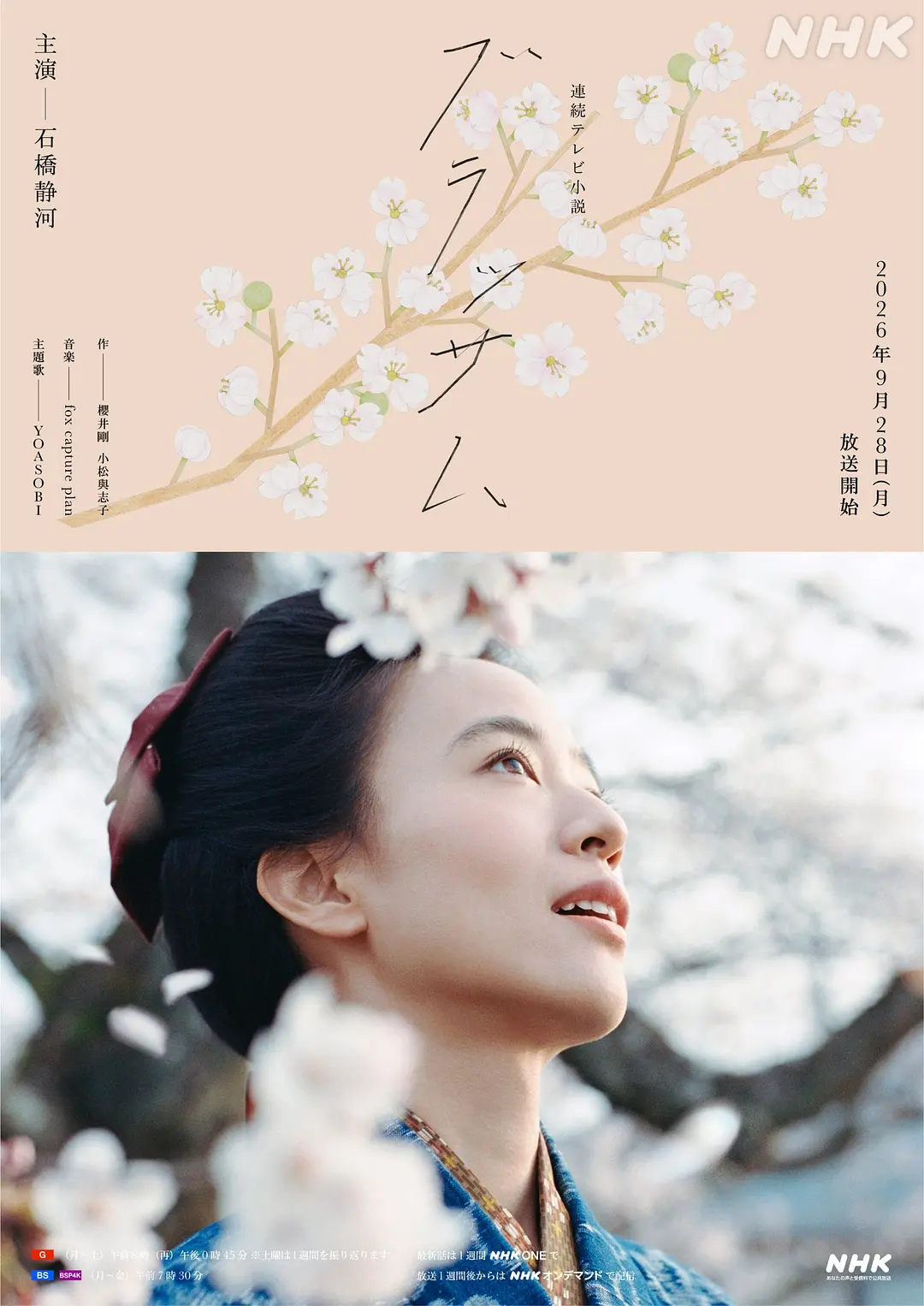花朵盛开封面图