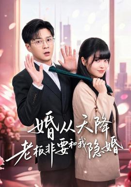 婚从天降老板非要和我隐婚封面图
