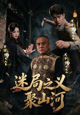 迷局之义聚山河封面图