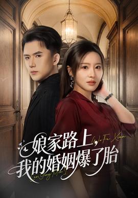 娘家路上，我的婚姻爆了胎封面图