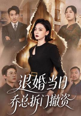 退婚当日乔总拆门撤资封面图