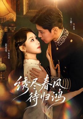 绣尽春风待归鸿封面图
